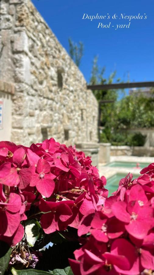 Carpofoli Corfu Apartment Corfu  Luaran gambar